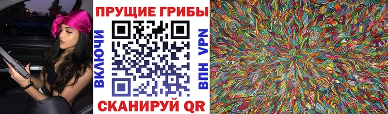 Купить где  Котовск  Галлюциногенные грибы Magic Shrooms 